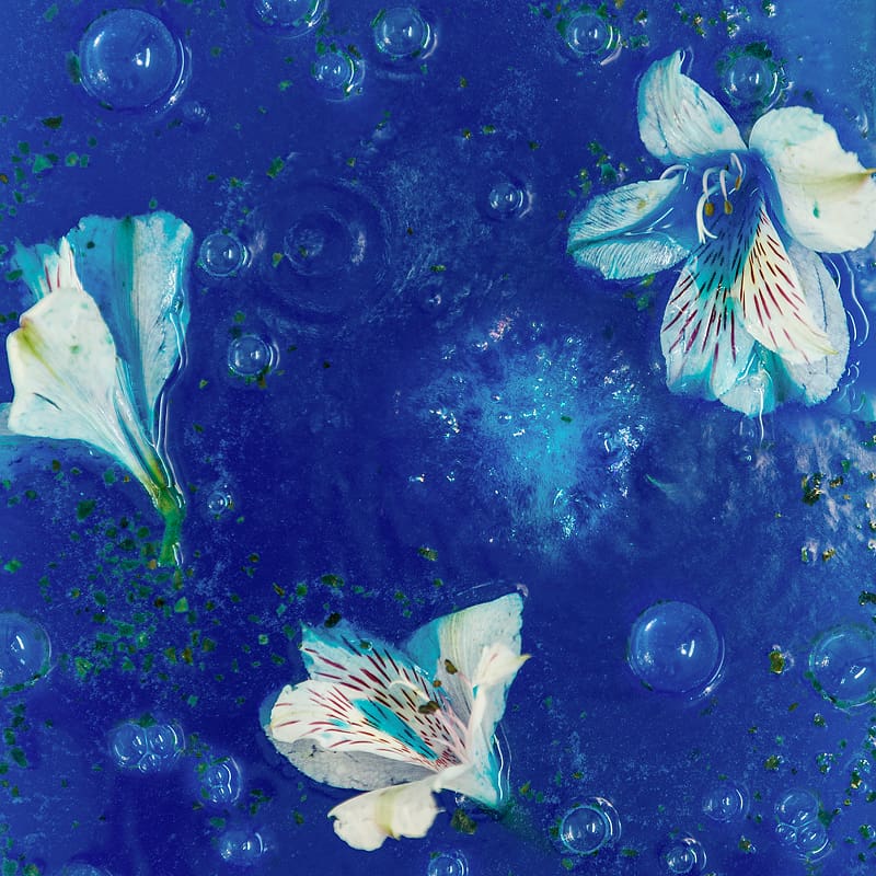 Шарик для ванн МОРСКИЕ ВОДОРОСЛИ